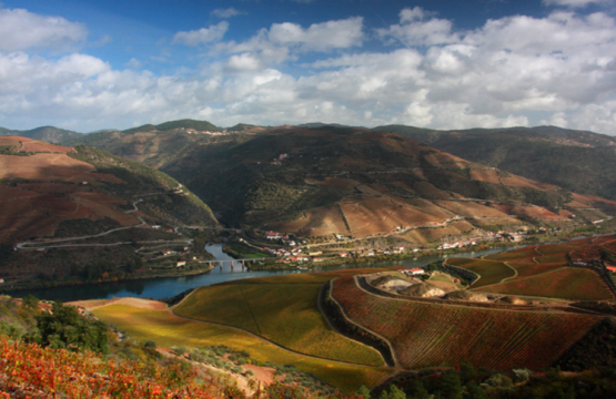 Douro valley