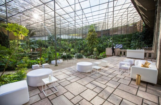 TerraÃ§o Estufa Fria